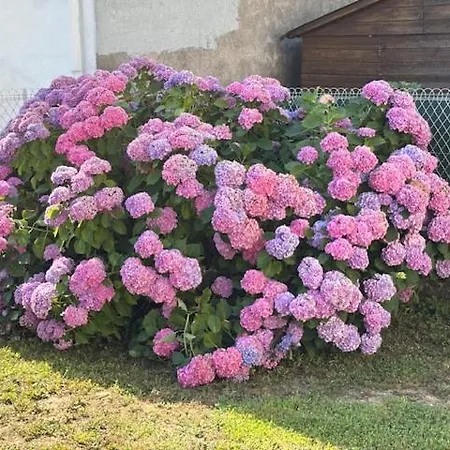 Bed and Breakfast Aux Tournesols 3*