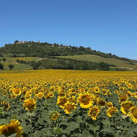 Bed and Breakfast Aux Tournesols